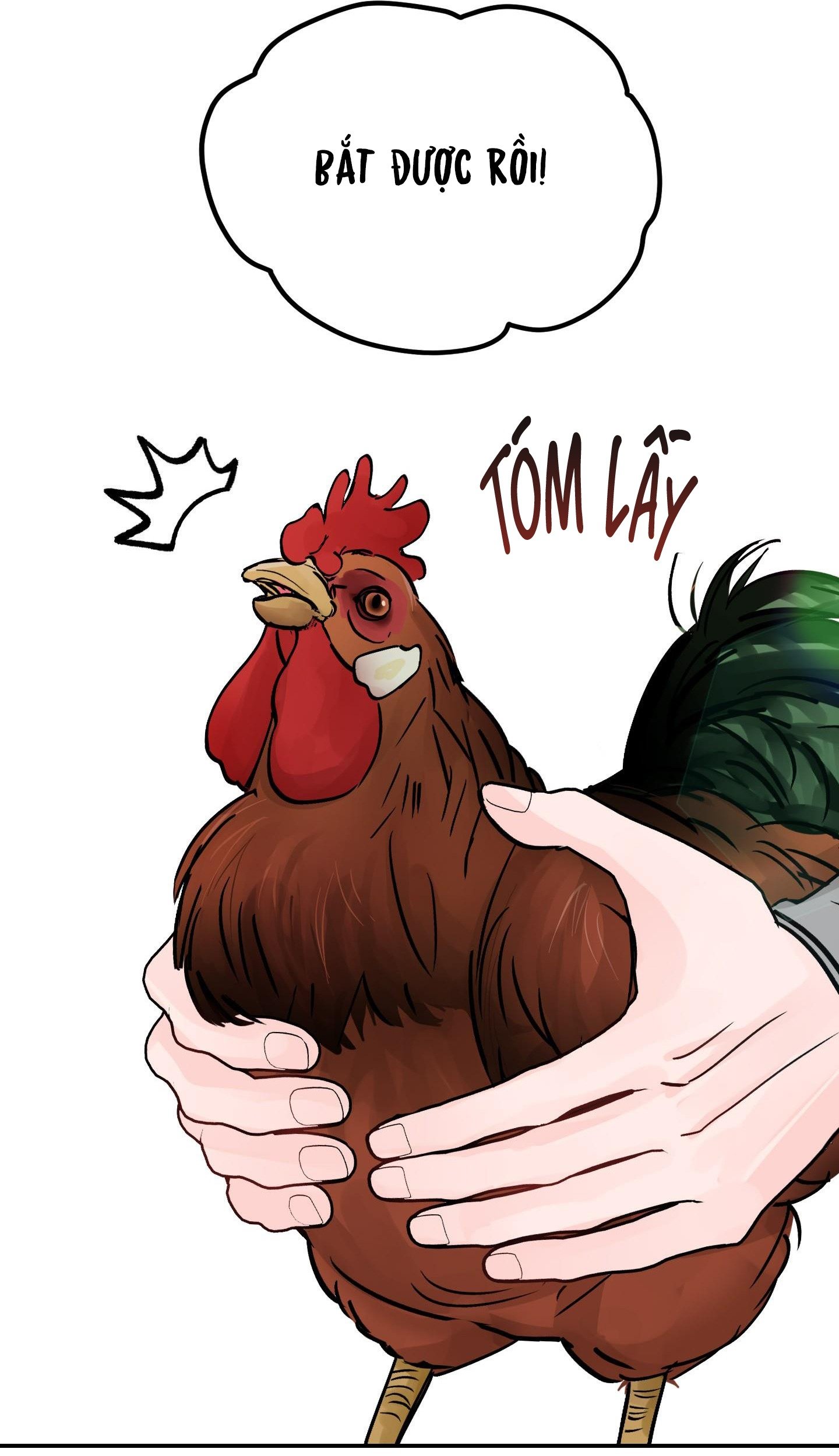 Chẳng Thể Ngừng Lại Chap 27 - Next Chap 28