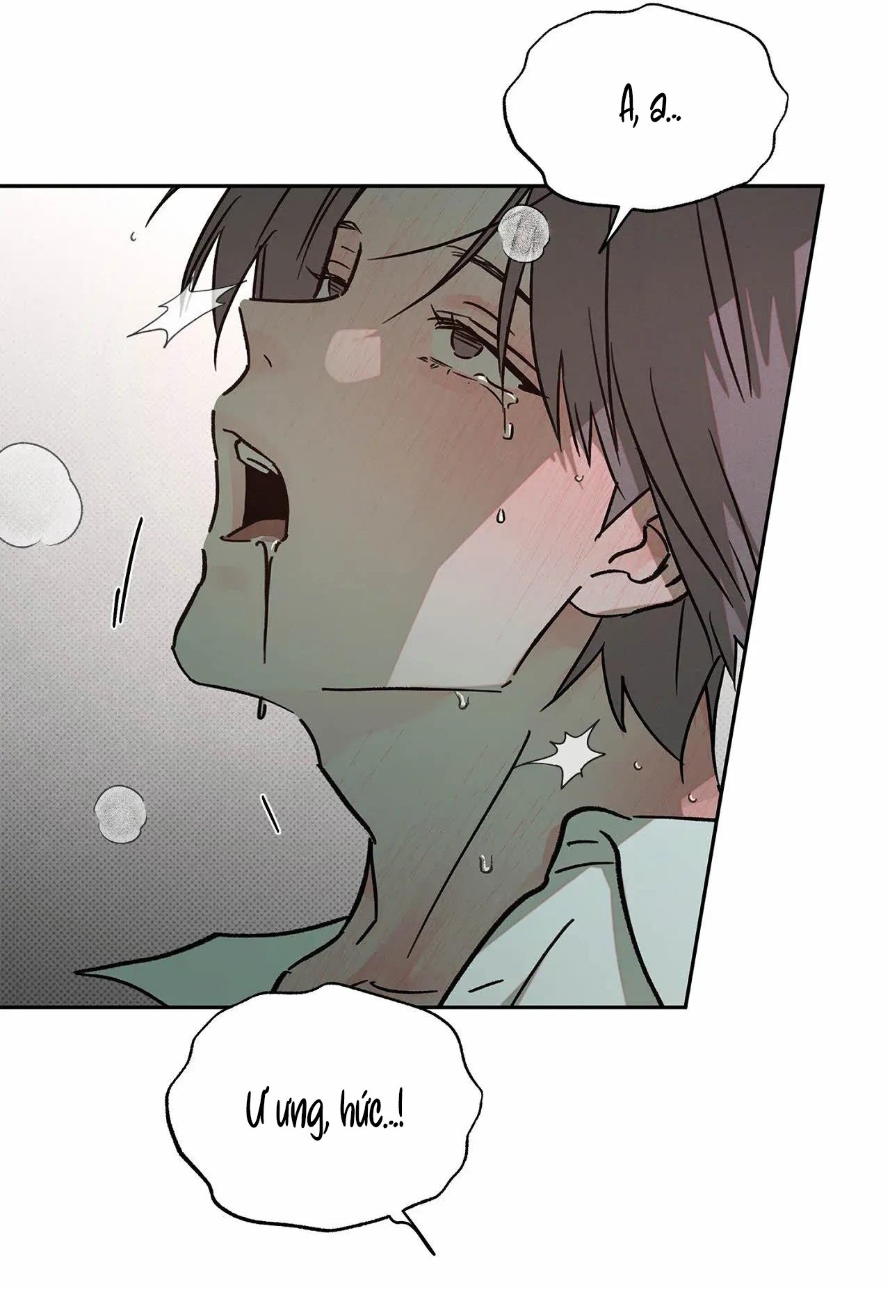 Donut Cầu Vồng Chap 29 - Next Chap 30