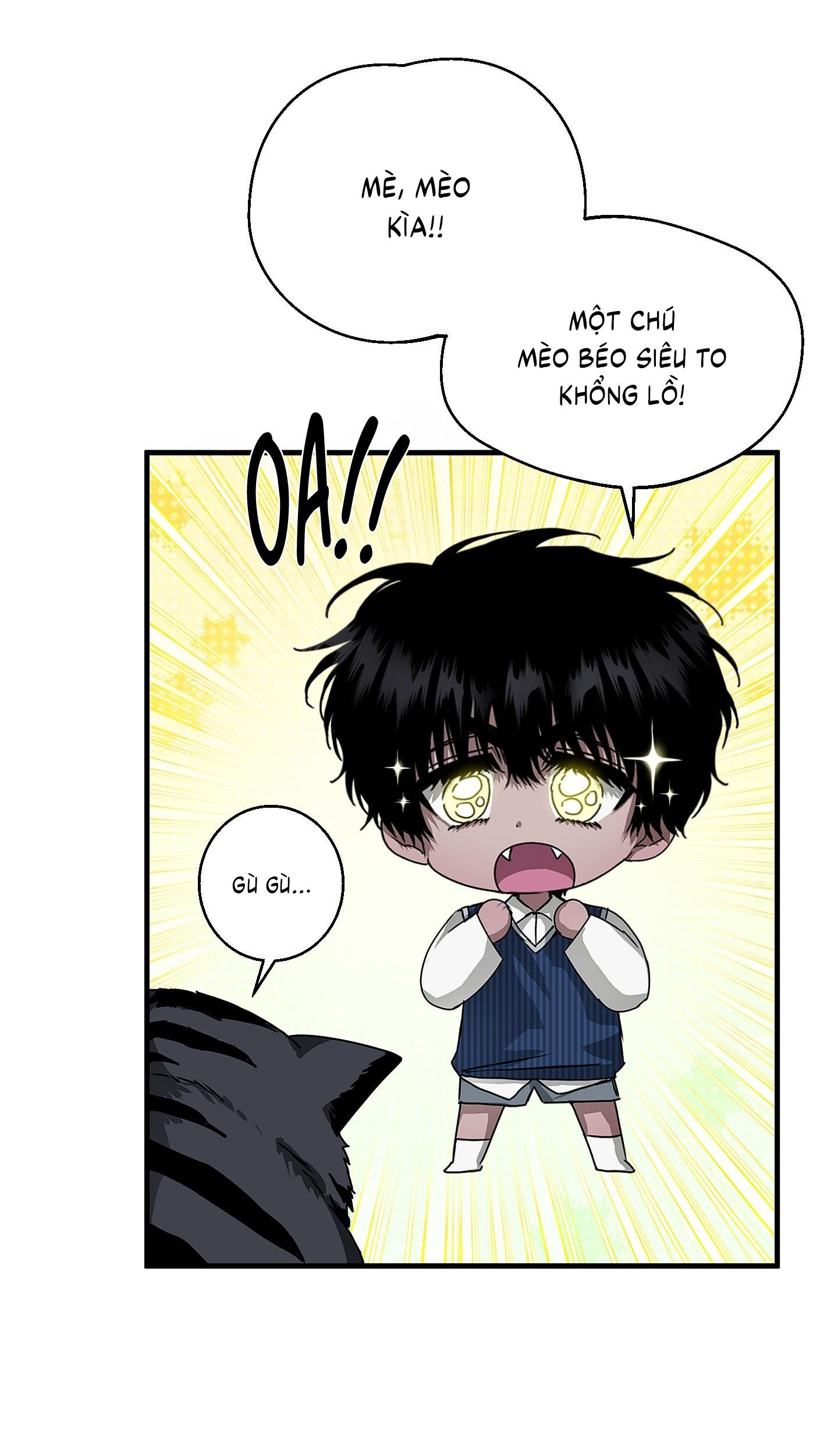 Vân Long Phong Hổ Chap 13 - Next Chap 14