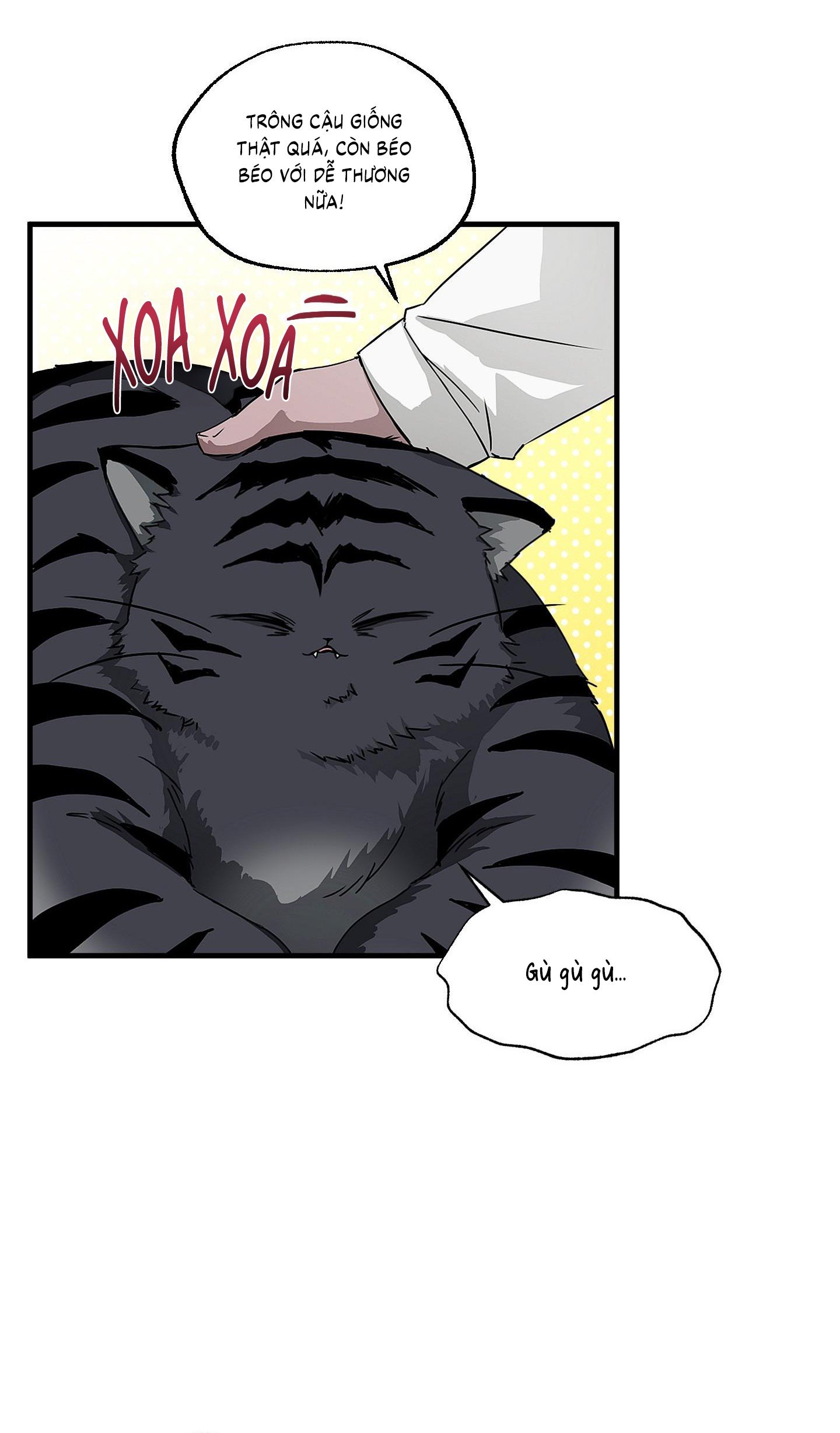 Vân Long Phong Hổ Chap 13 - Next Chap 14