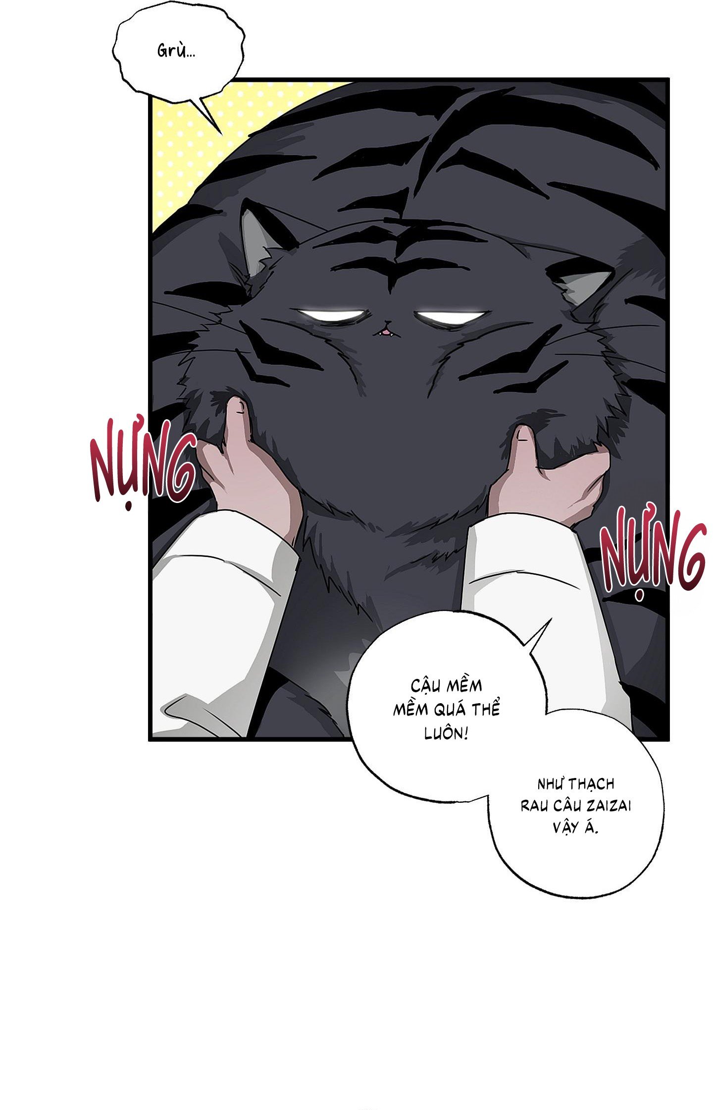 Vân Long Phong Hổ Chap 13 - Next Chap 14