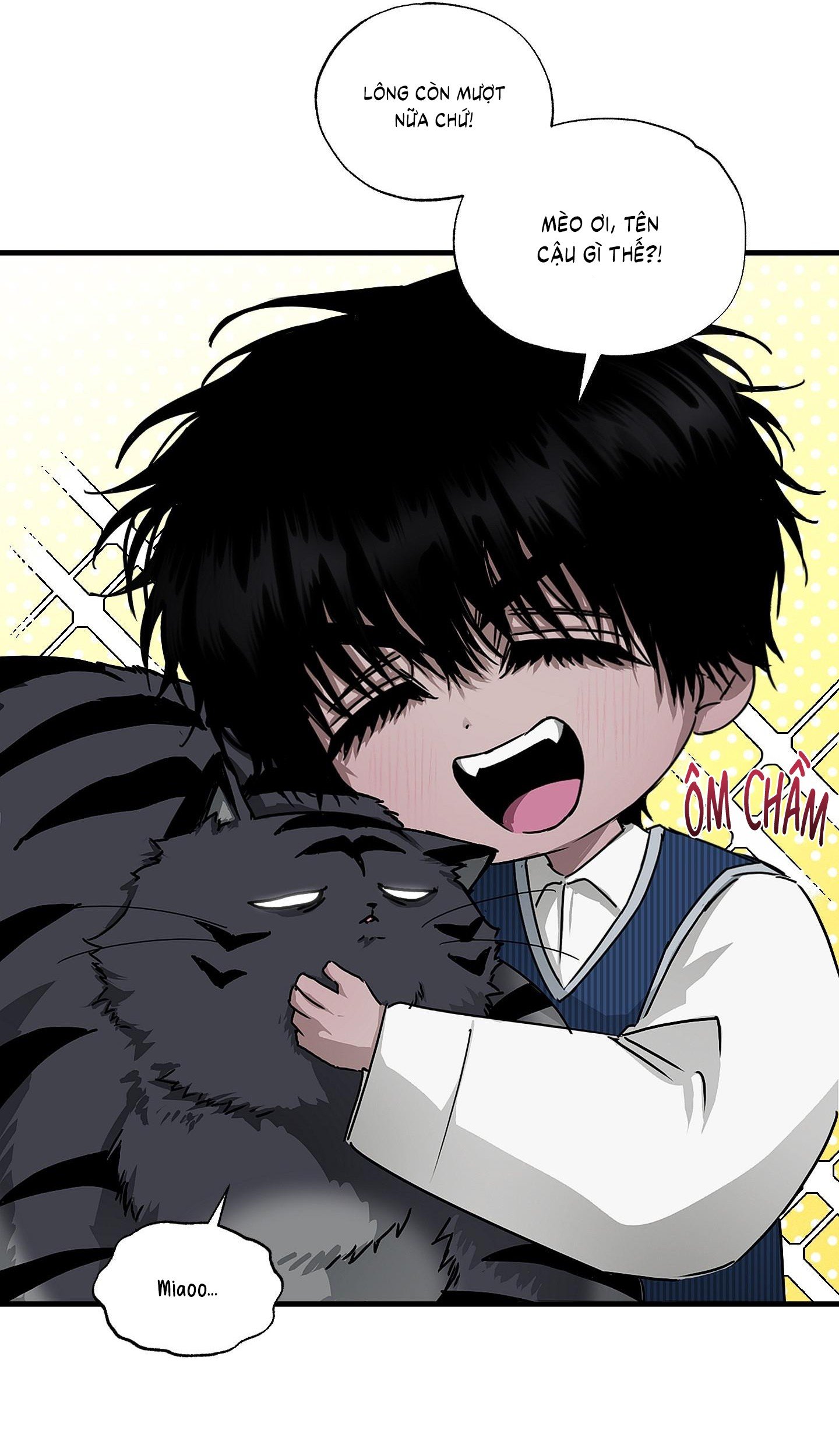 Vân Long Phong Hổ Chap 13 - Next Chap 14