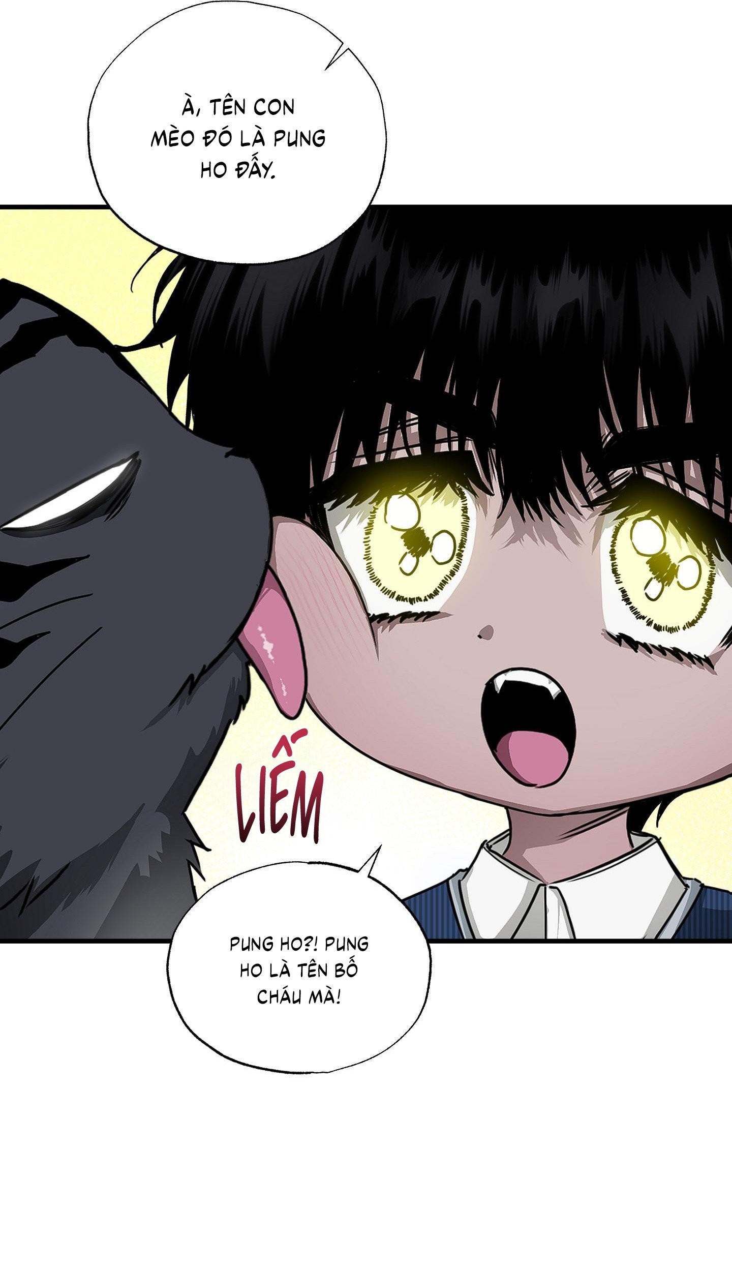 Vân Long Phong Hổ Chap 13 - Next Chap 14