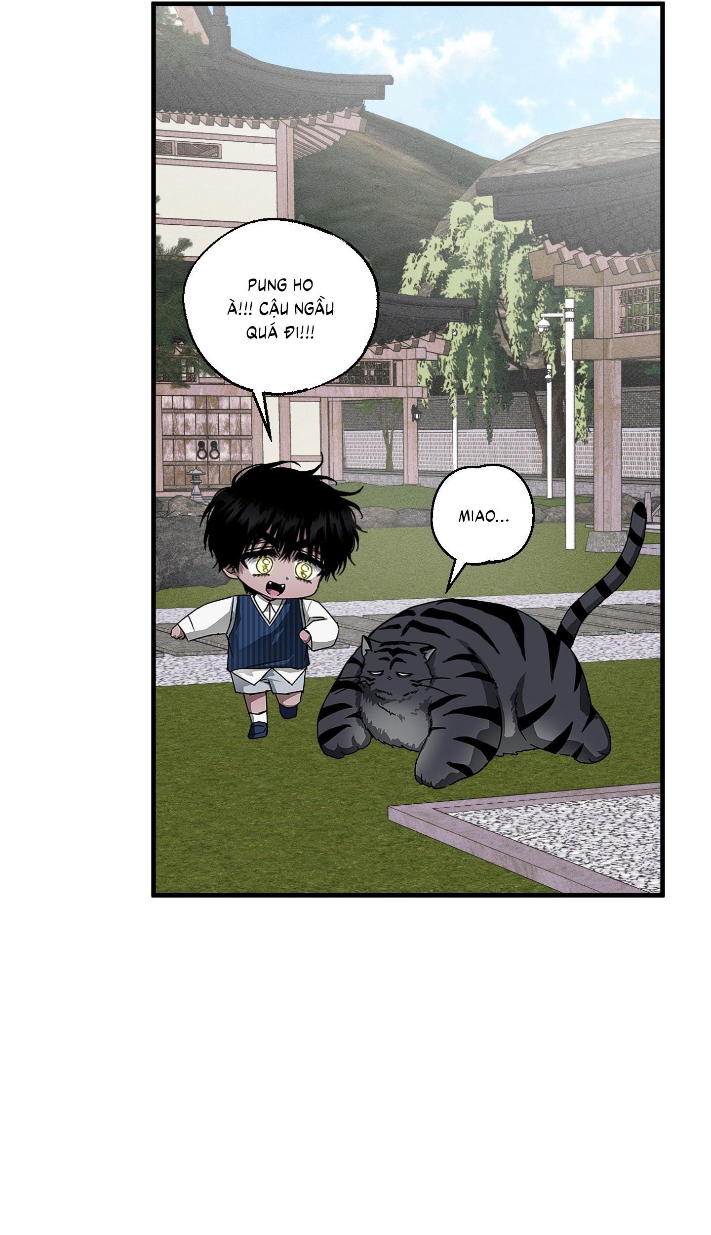 Vân Long Phong Hổ Chap 13 - Next Chap 14