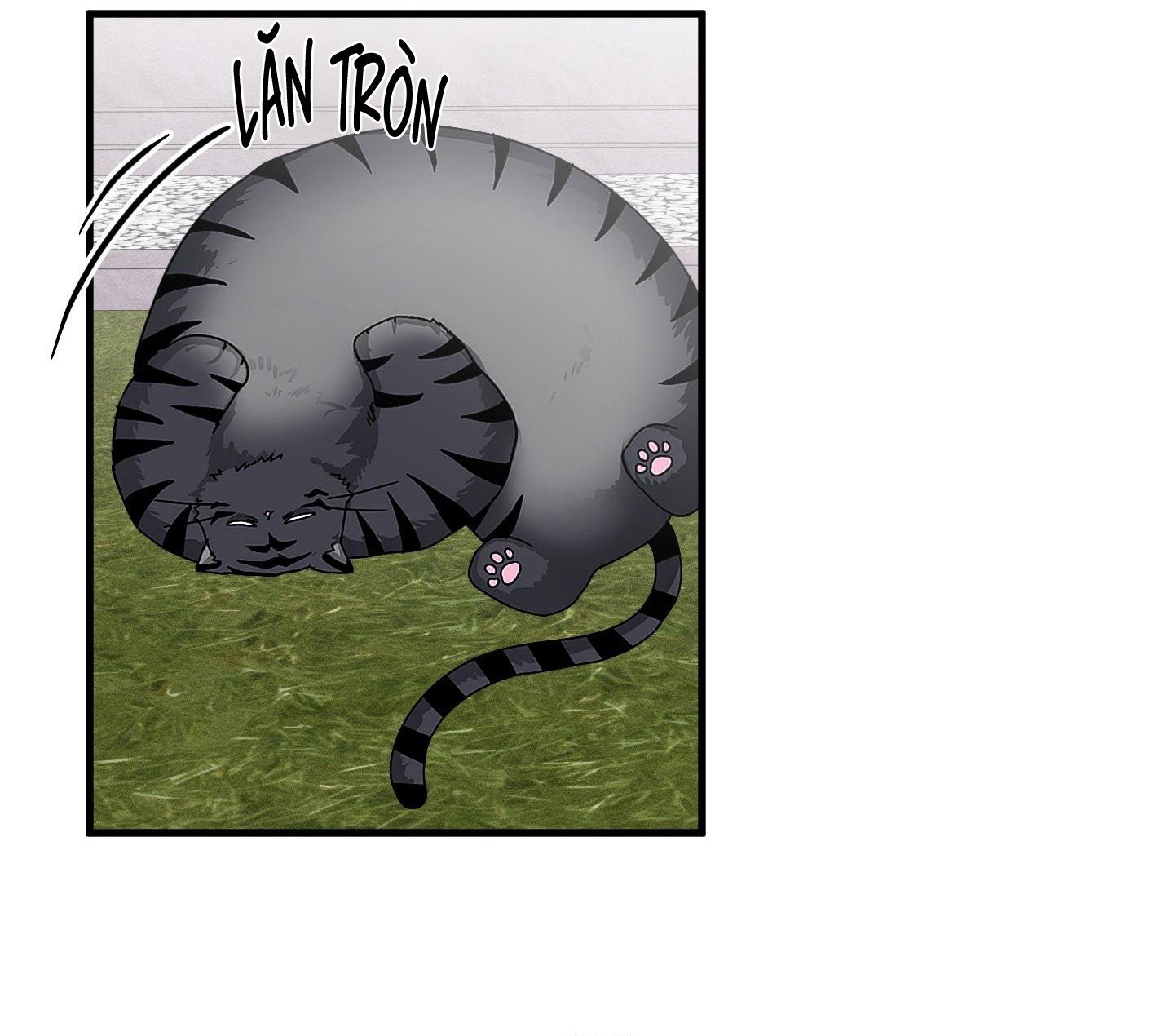 Vân Long Phong Hổ Chap 13 - Next Chap 14