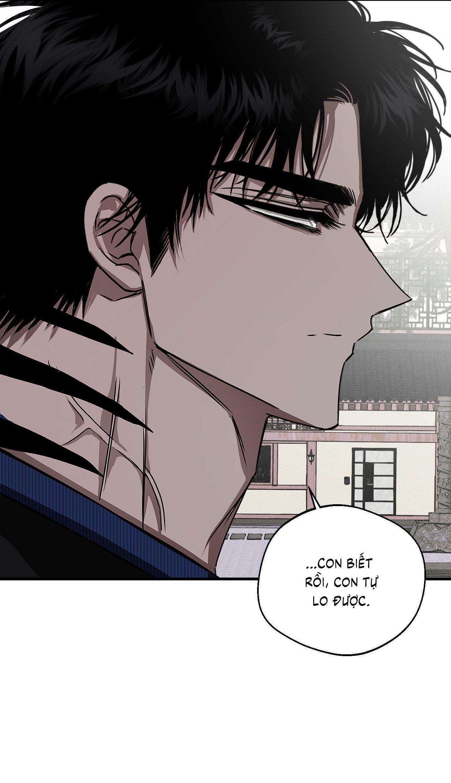 Vân Long Phong Hổ Chap 13 - Next Chap 14