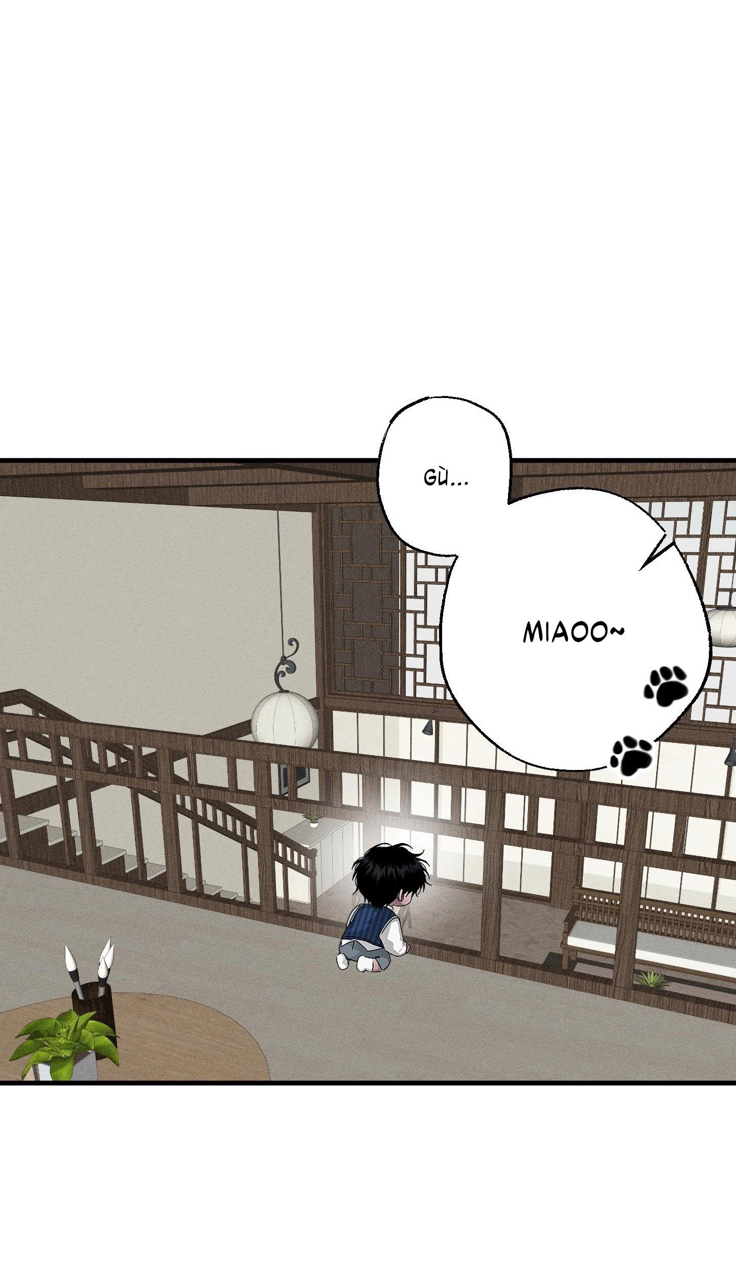 Vân Long Phong Hổ Chap 13 - Next Chap 14