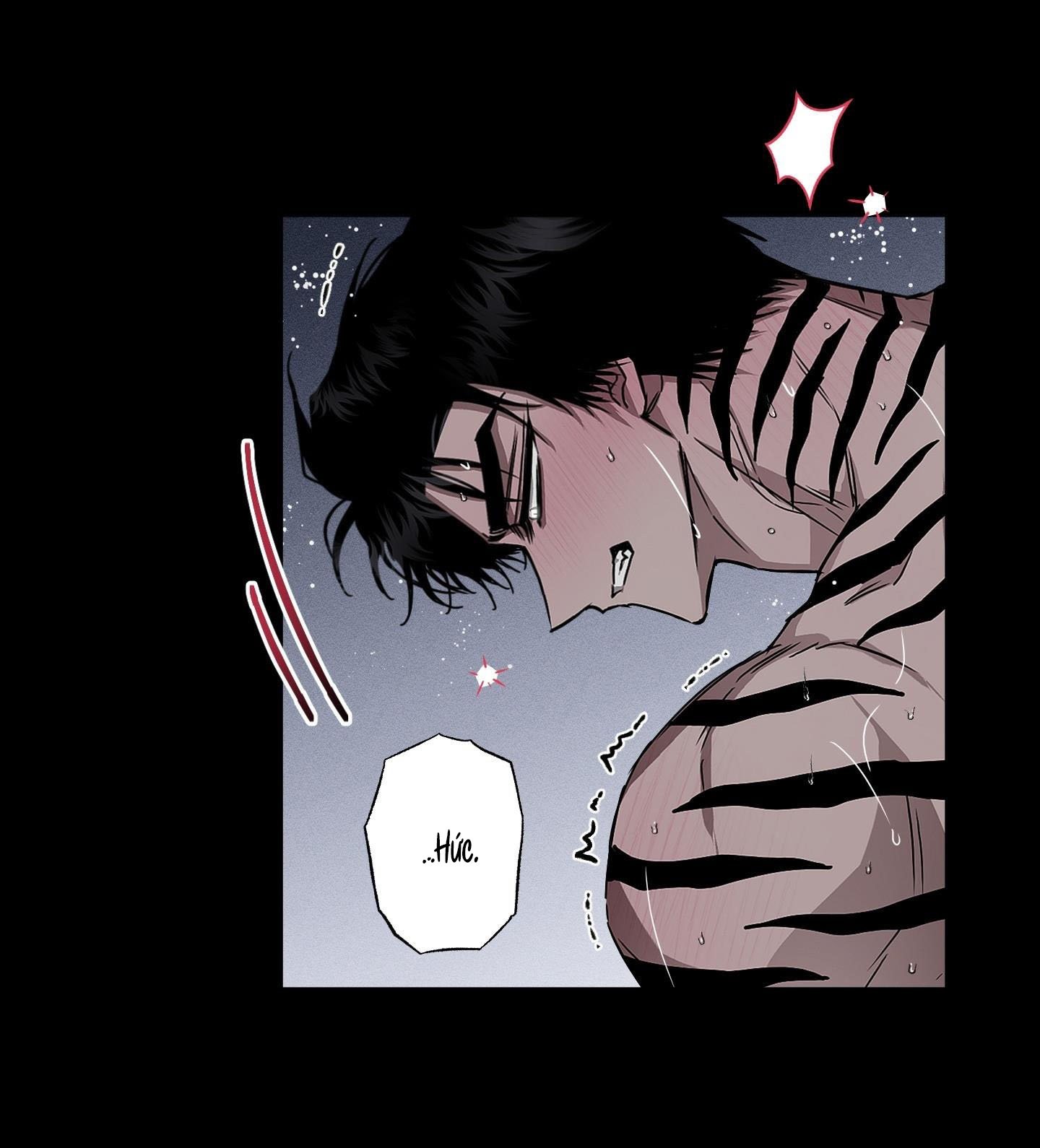Vân Long Phong Hổ Chap 15 - Next Chap 16