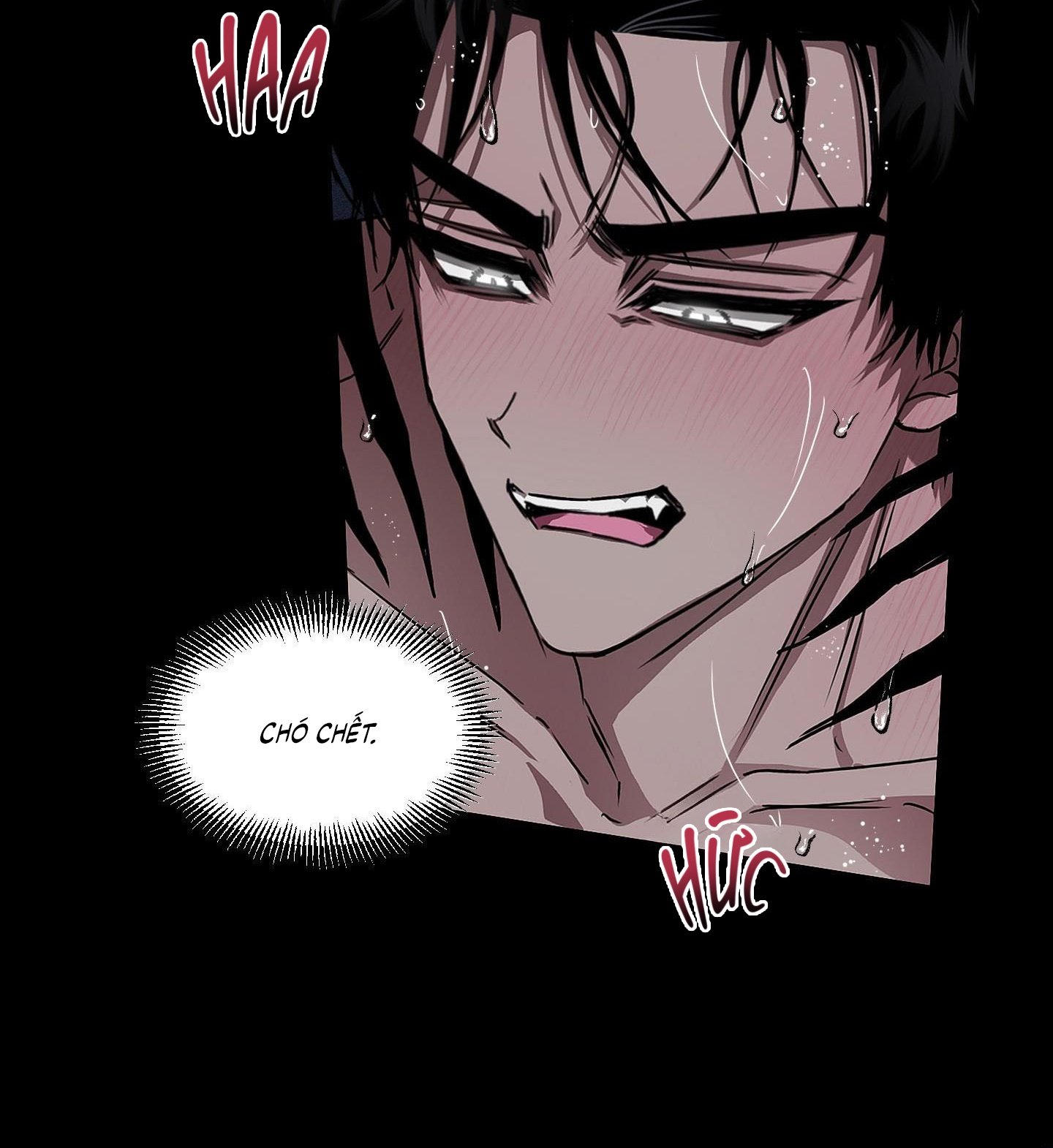 Vân Long Phong Hổ Chap 15 - Next Chap 16