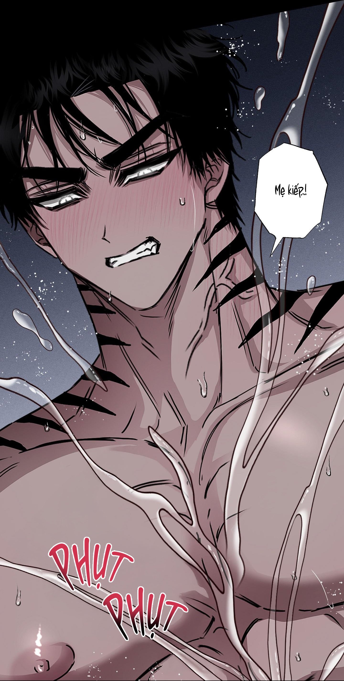 Vân Long Phong Hổ Chap 15 - Next Chap 16