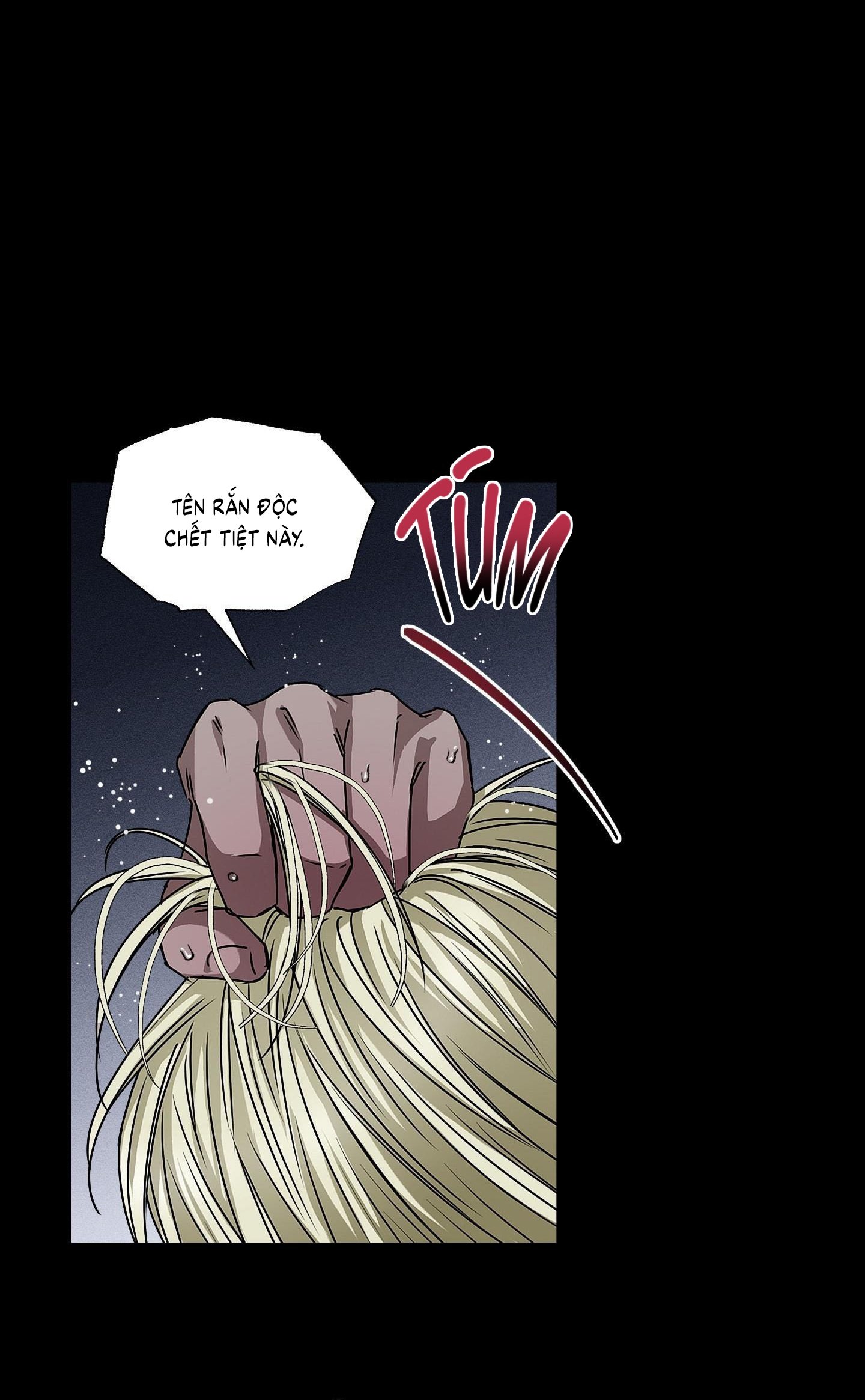 Vân Long Phong Hổ Chap 15 - Next Chap 16