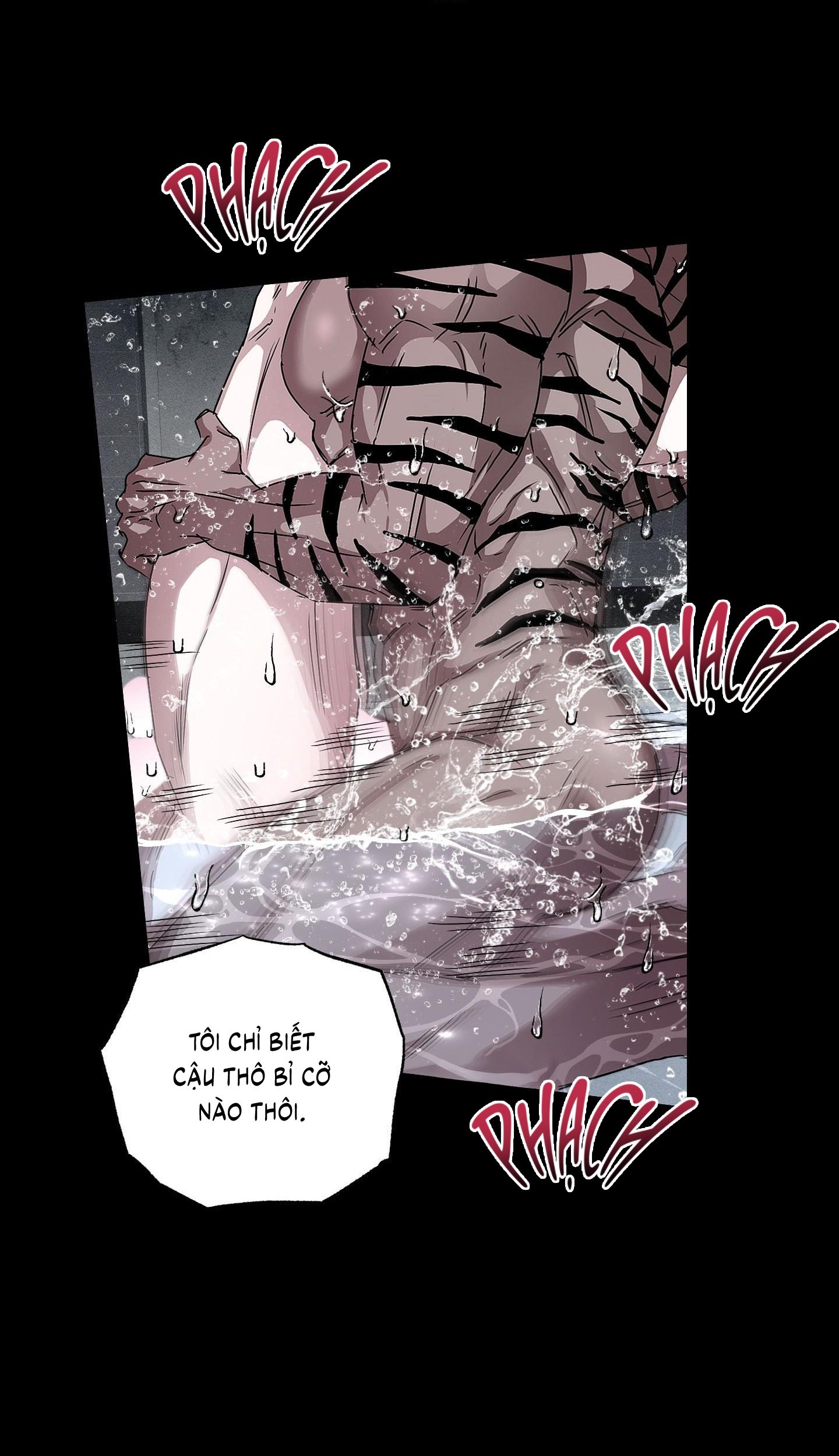 Vân Long Phong Hổ Chap 15 - Next Chap 16