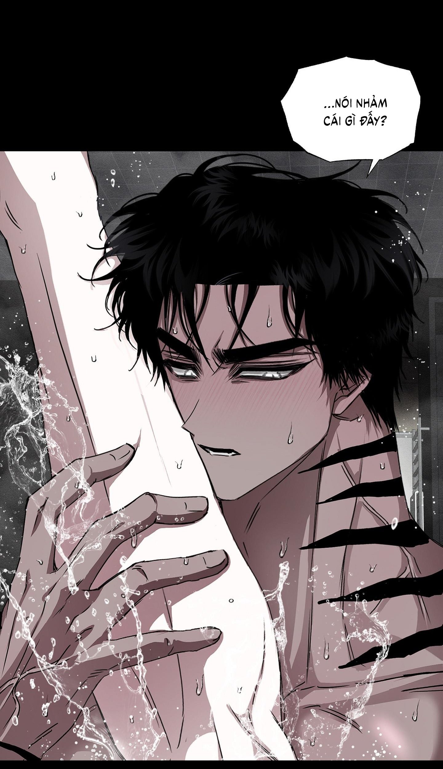 Vân Long Phong Hổ Chap 15 - Next Chap 16