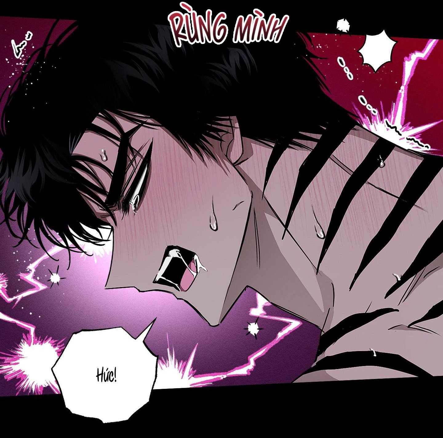 Vân Long Phong Hổ Chap 16 - Next Chap 17
