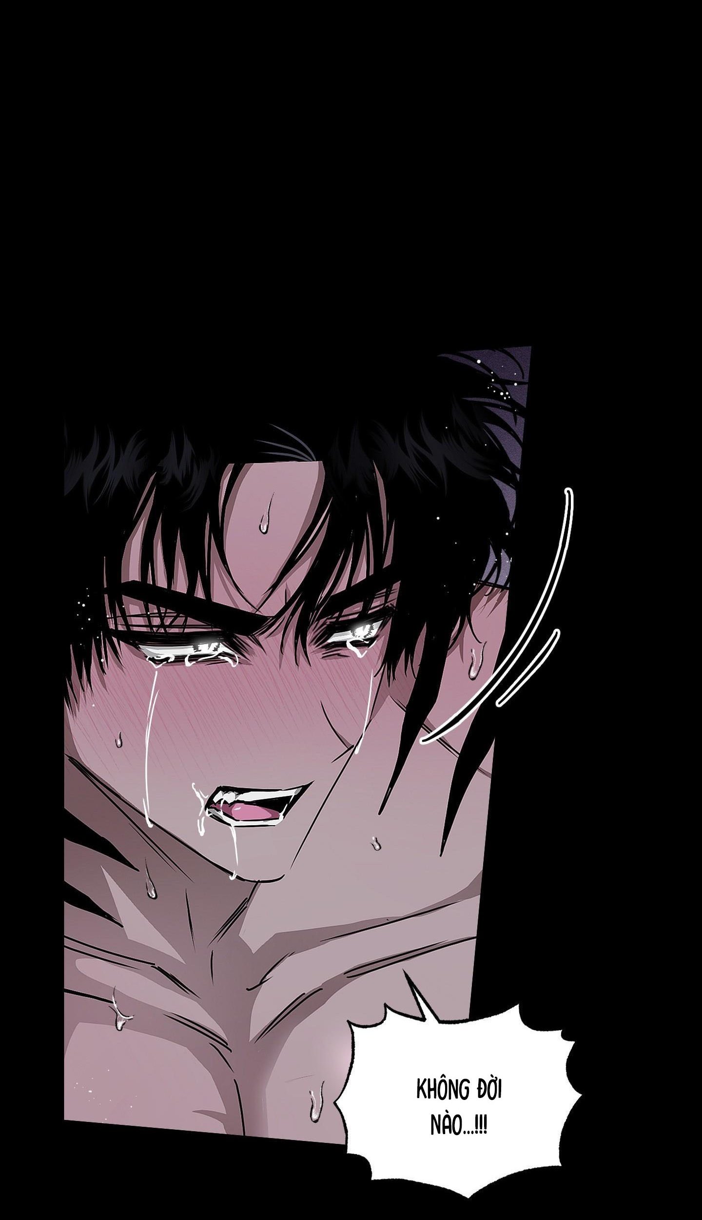 Vân Long Phong Hổ Chap 16 - Next Chap 17