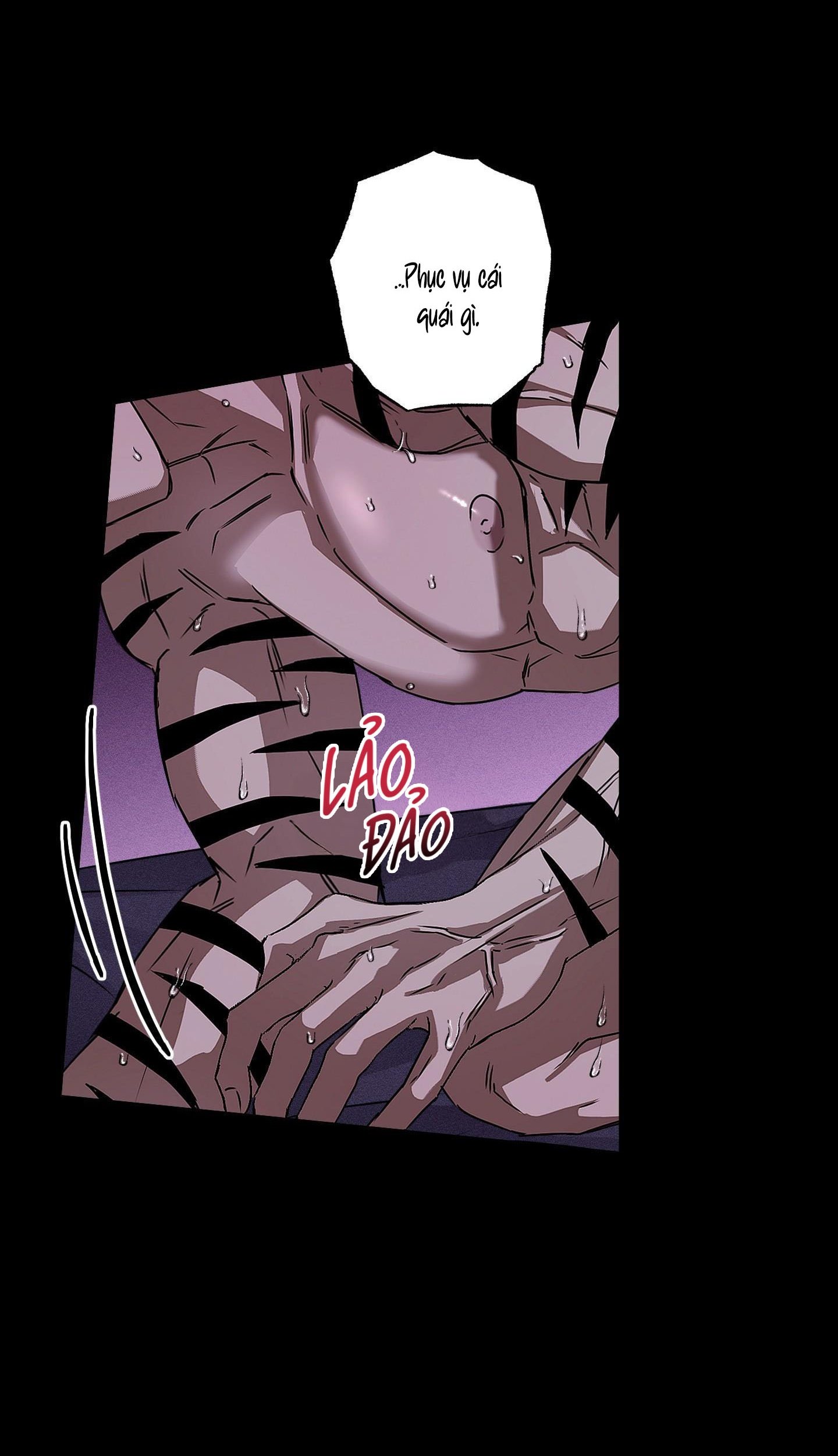 Vân Long Phong Hổ Chap 16 - Next Chap 17
