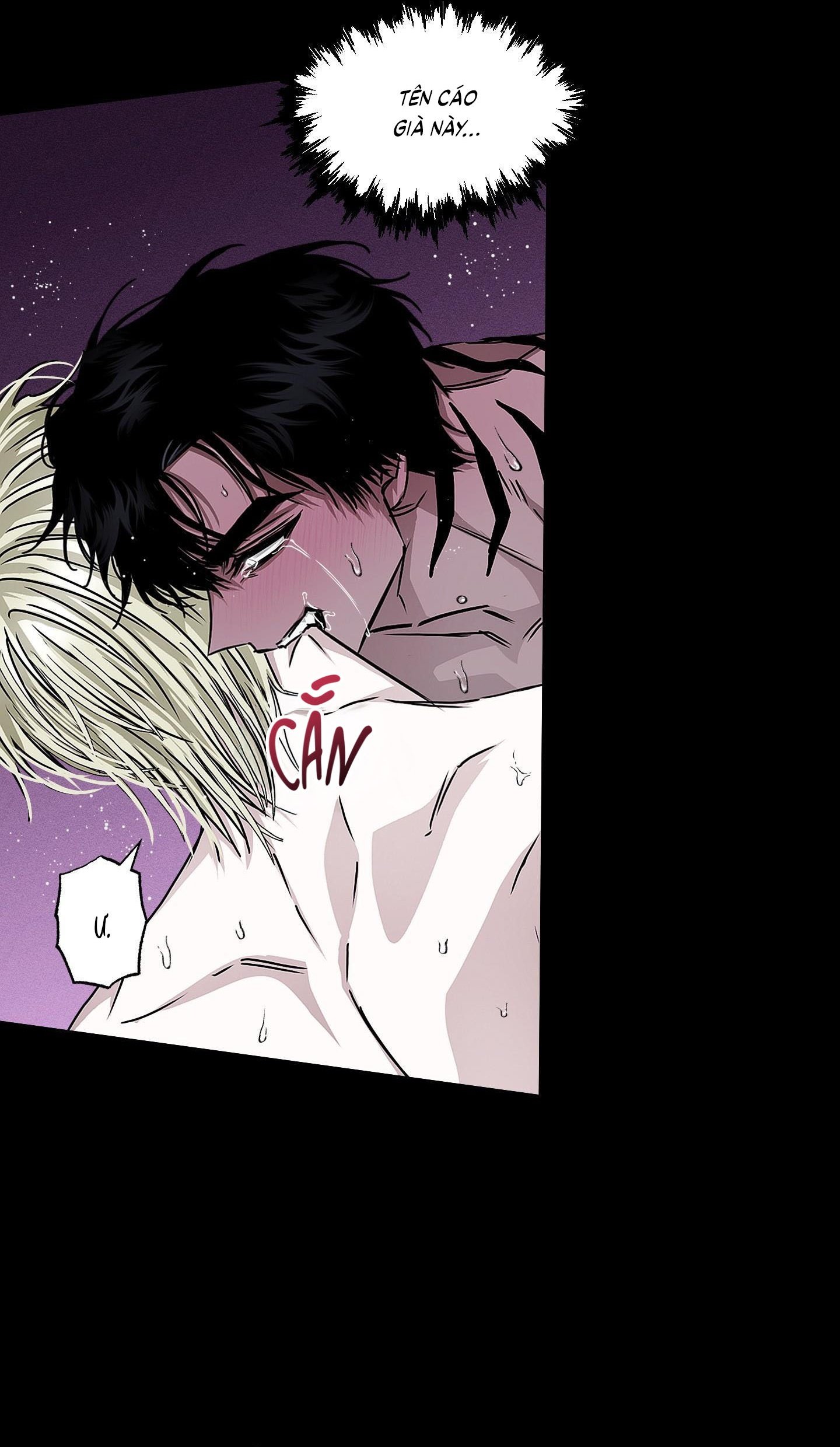 Vân Long Phong Hổ Chap 16 - Next Chap 17