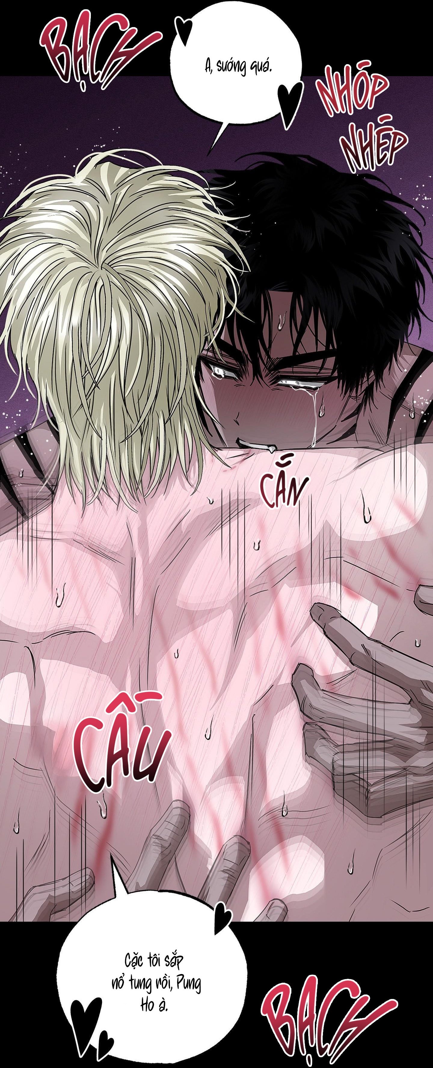 Vân Long Phong Hổ Chap 16 - Next Chap 17