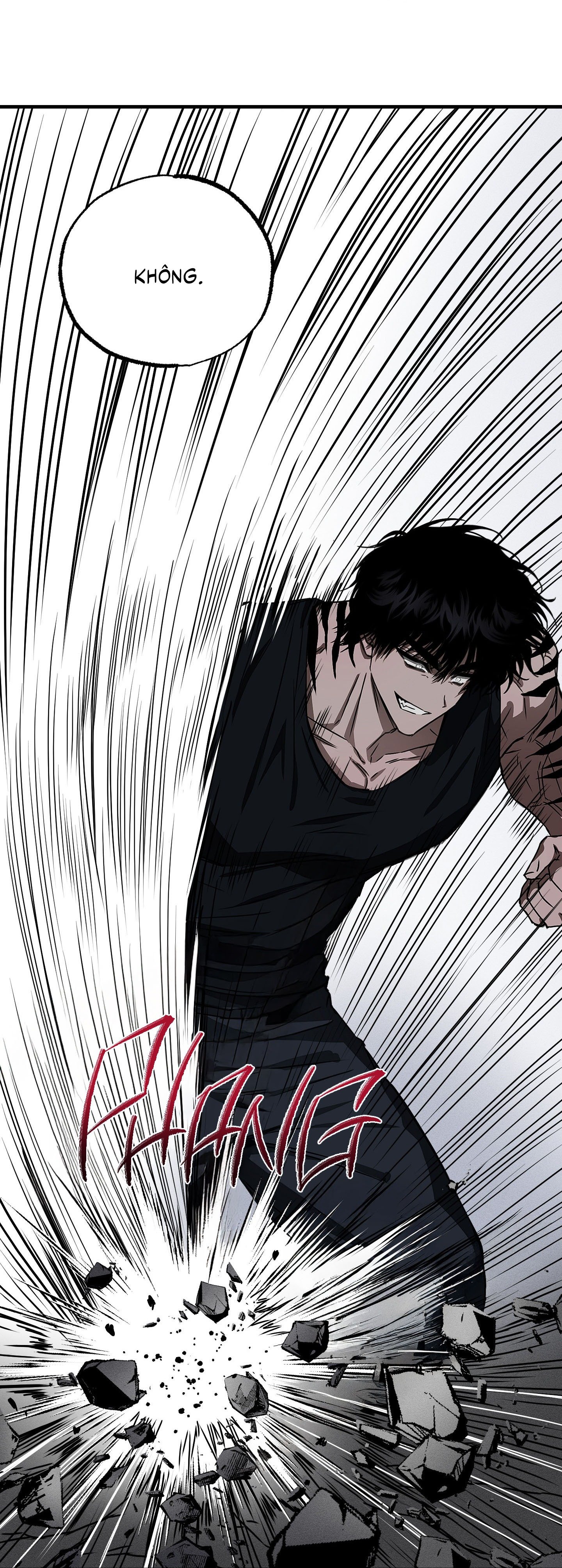 Vân Long Phong Hổ Chap 2 - Next Chap 3