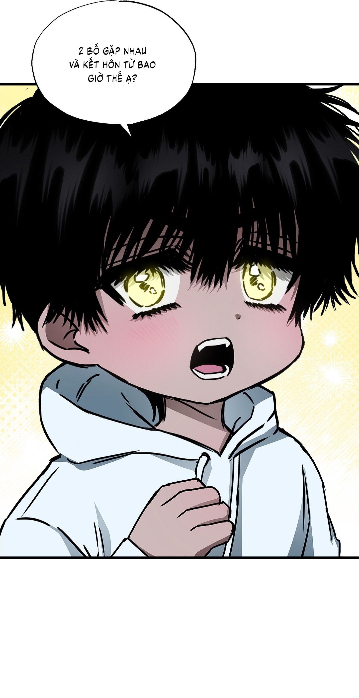 Vân Long Phong Hổ Chap 2 - Next Chap 3