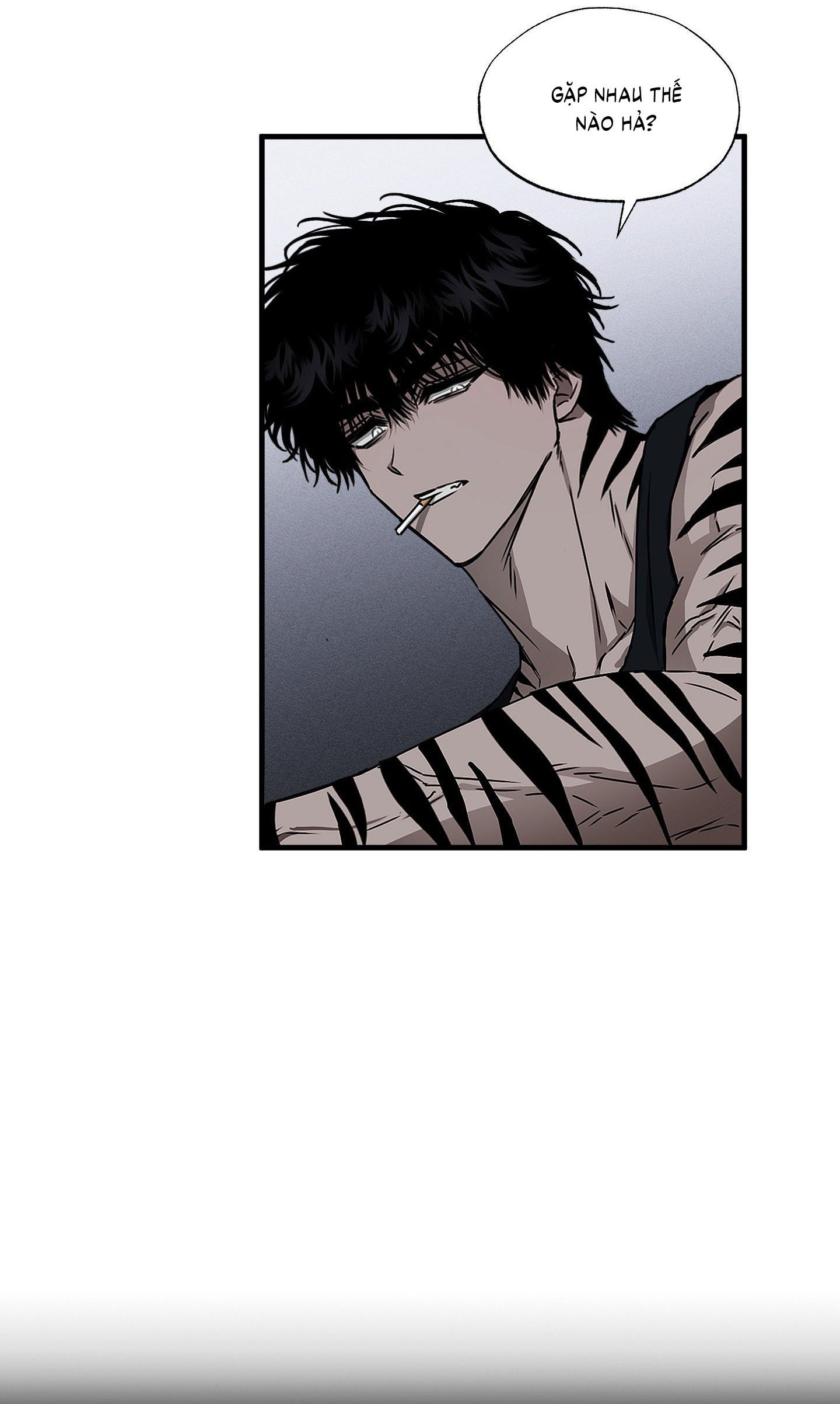 Vân Long Phong Hổ Chap 2 - Next Chap 3