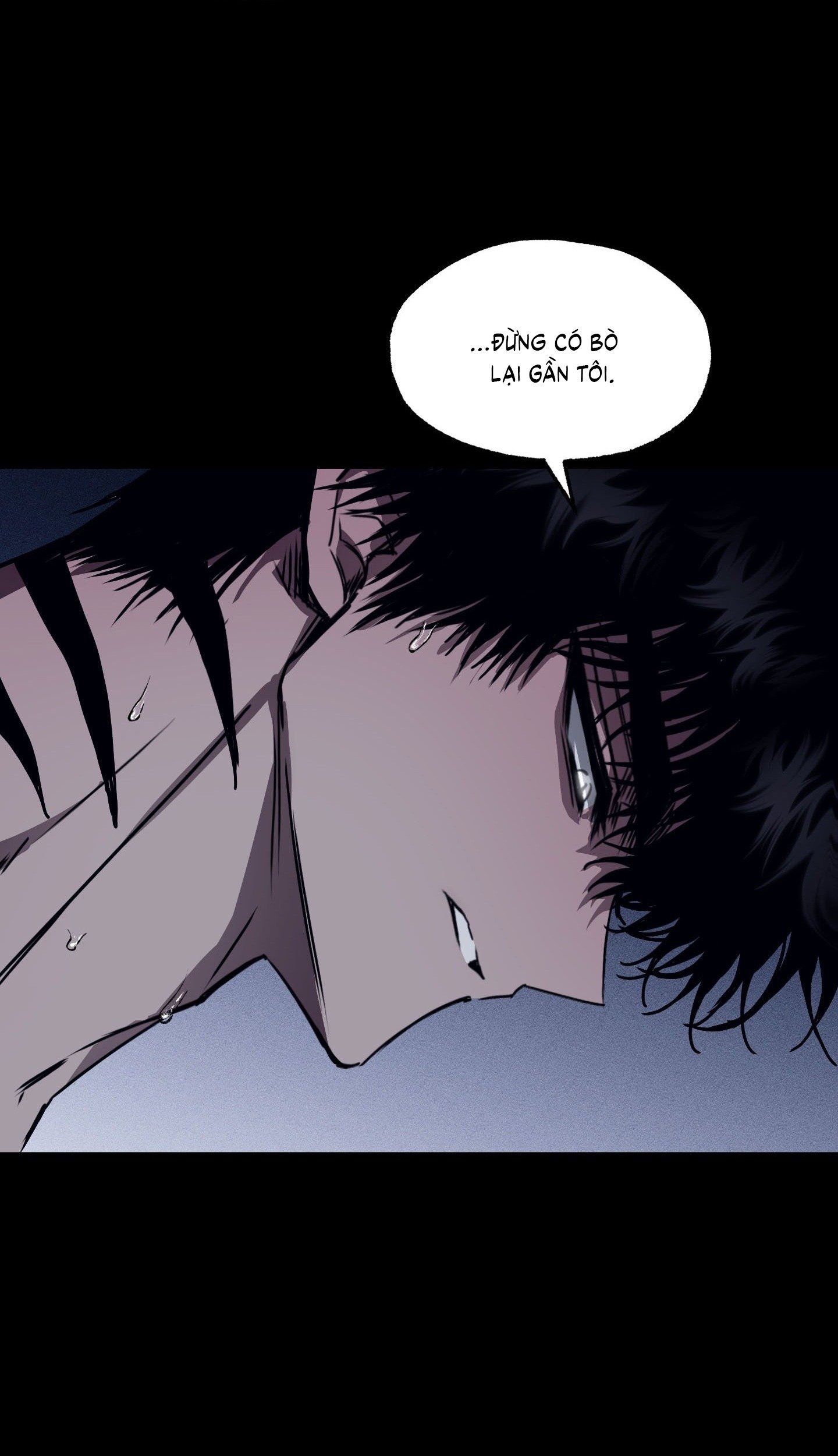 Vân Long Phong Hổ Chap 5 - Next Chap 6