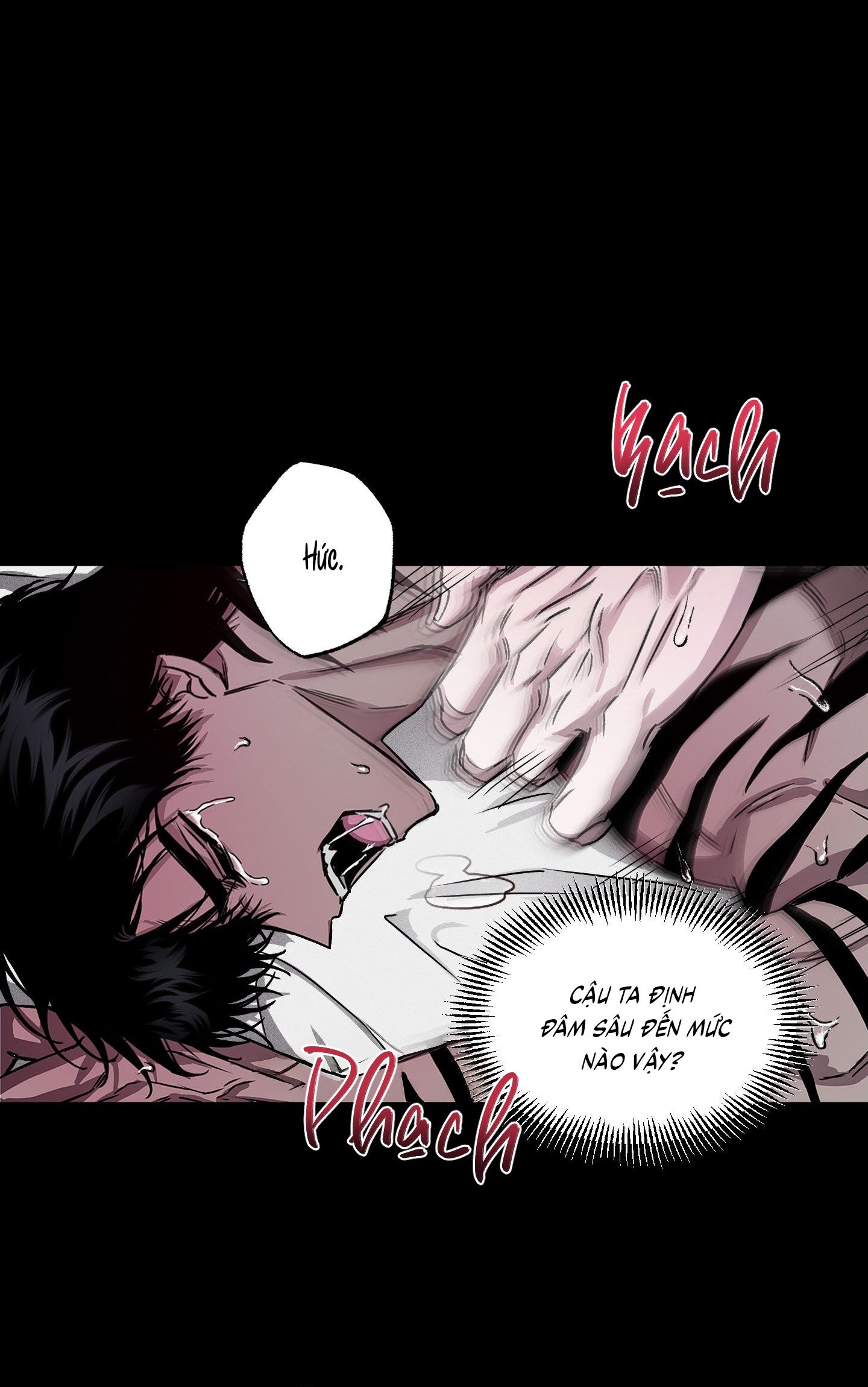 Vân Long Phong Hổ Chap 6 - Next Chap 7