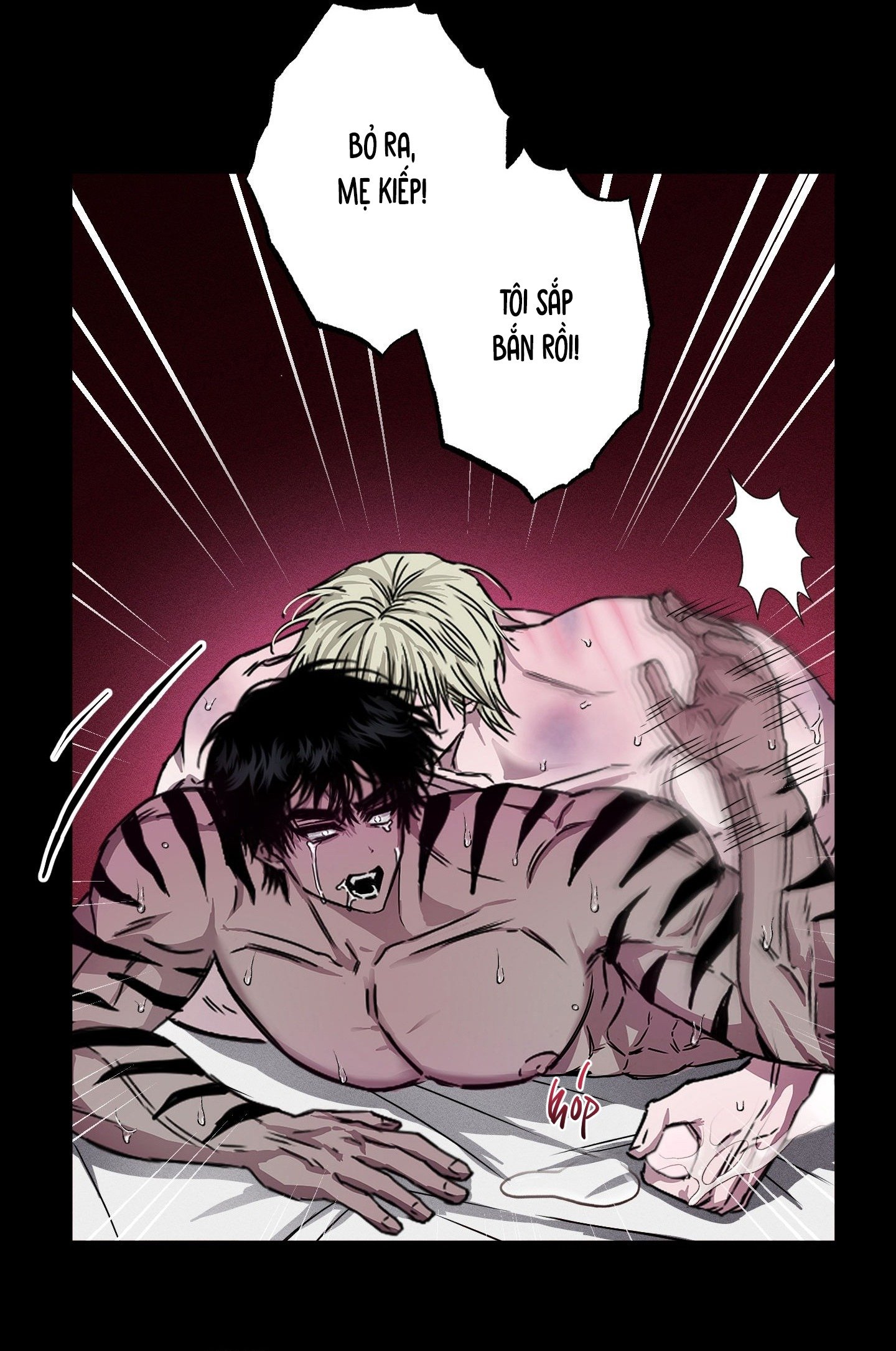 Vân Long Phong Hổ Chap 6 - Next Chap 7