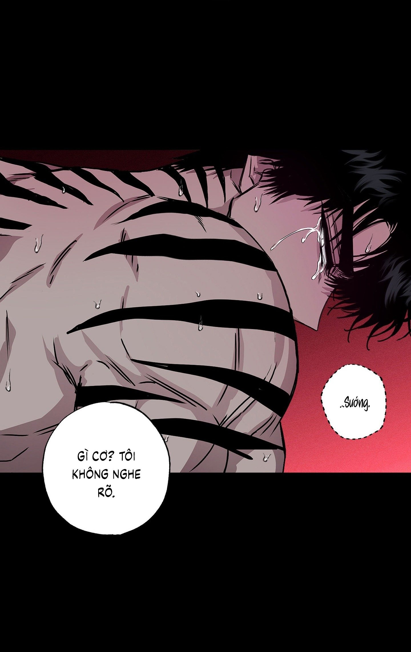 Vân Long Phong Hổ Chap 6 - Next Chap 7
