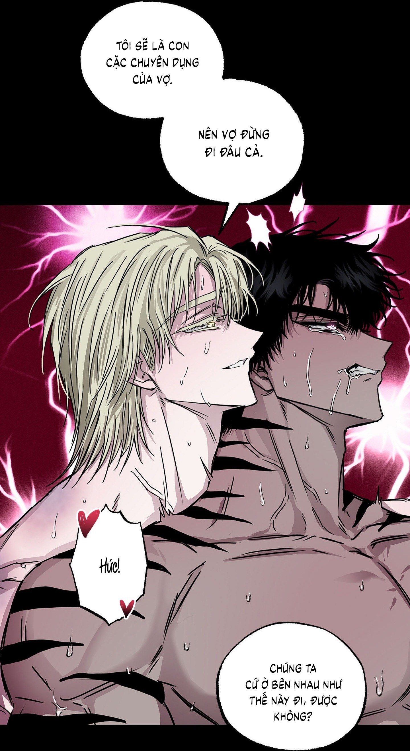 Vân Long Phong Hổ Chap 6 - Next Chap 7