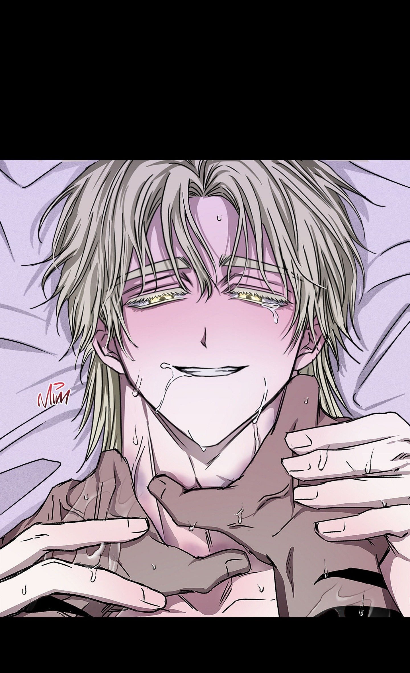 Vân Long Phong Hổ Chap 6 - Next Chap 7