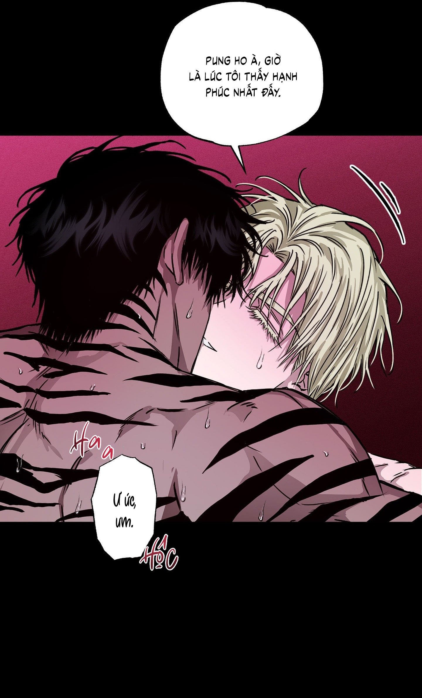 Vân Long Phong Hổ Chap 7 - Next Chap 8