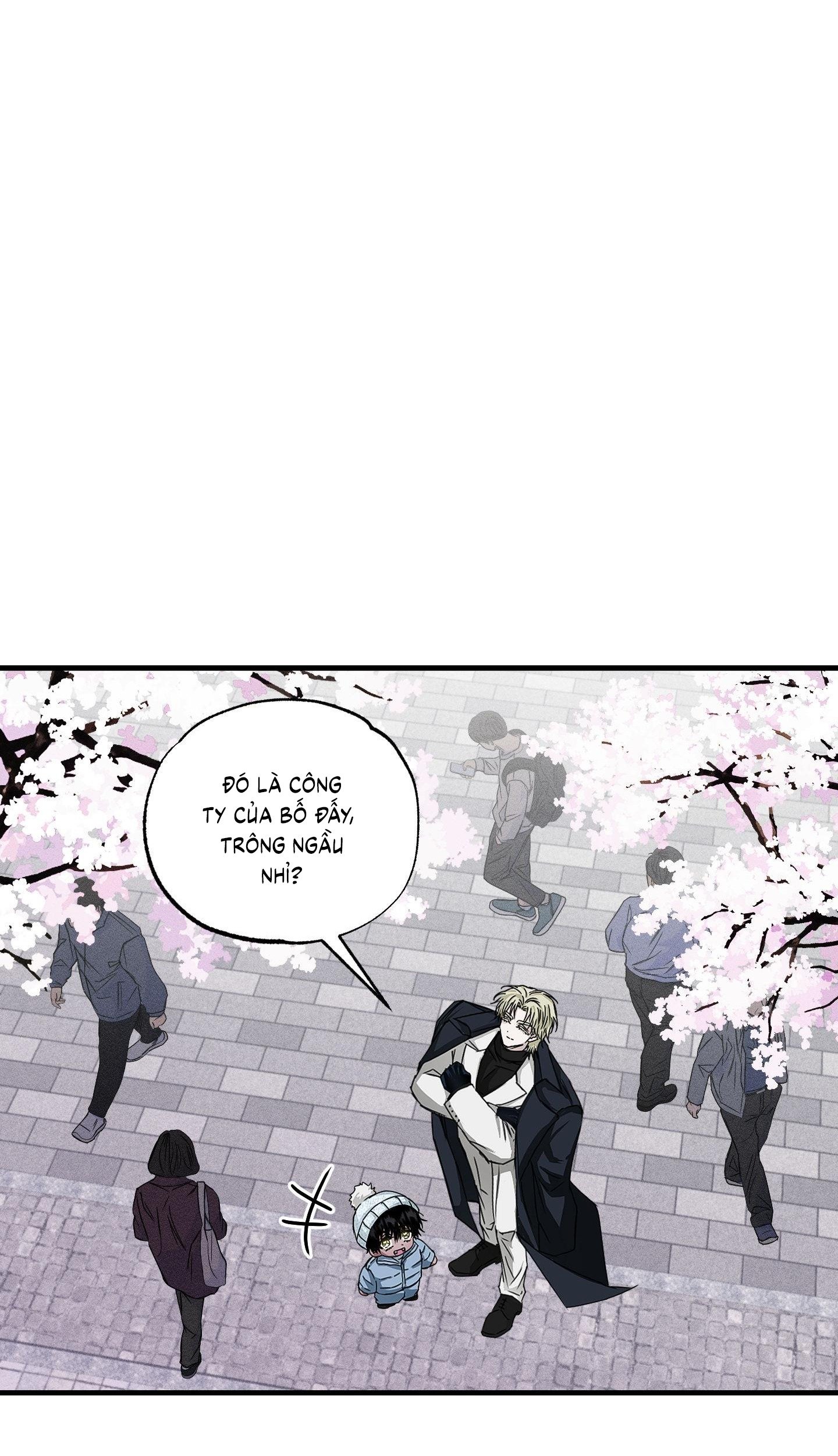 Vân Long Phong Hổ Chap 8 - Next Chap 9